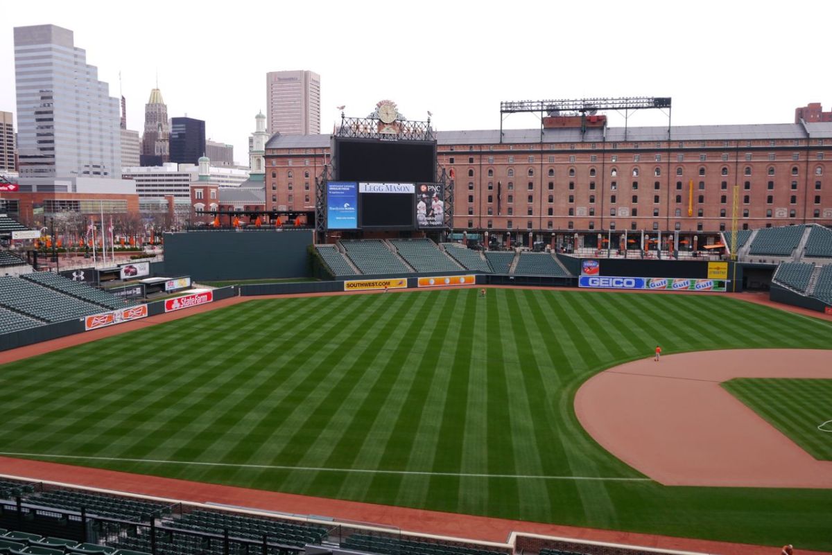 The field, Orioles Ball Park, Baltimore.