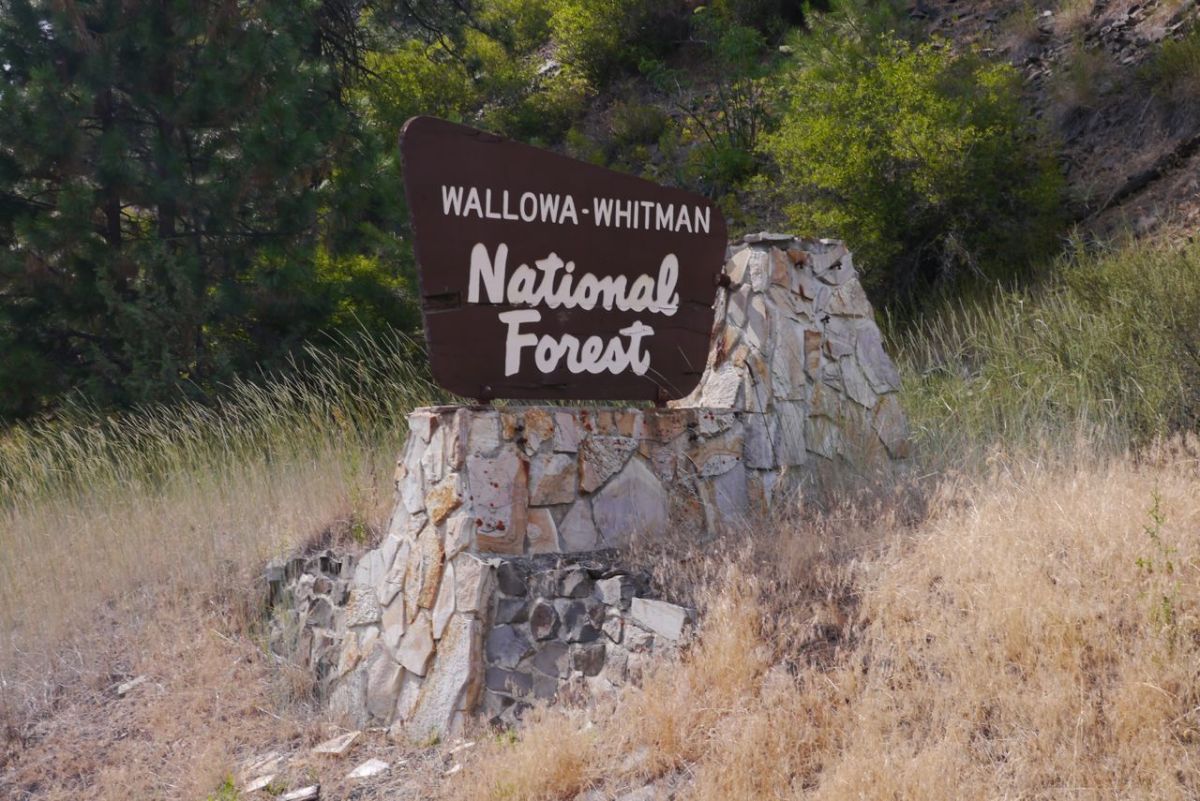 Wallowa -Whitman National Forrest, Oregon.