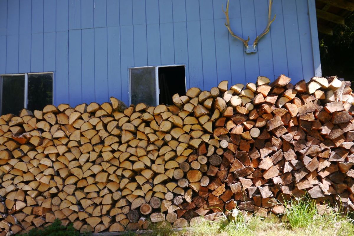 THE Woodpile,