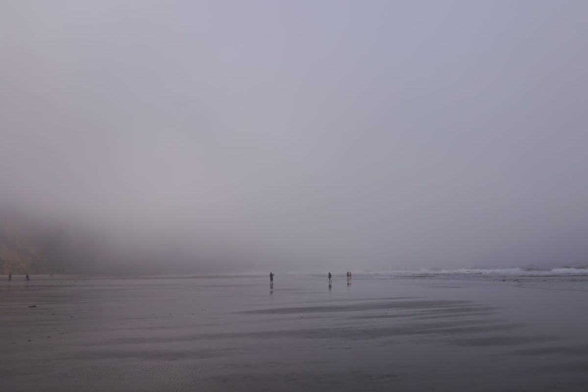 Fog on Cap Lookout, II. Oregon.